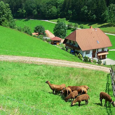 In Surrounded By Nature * Hofstetten (Baden-Wurttemberg)
