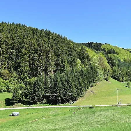 In Surrounded By Nature Hofstetten (Baden-Wurttemberg)