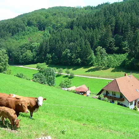 In Surrounded By Nature Appartement *