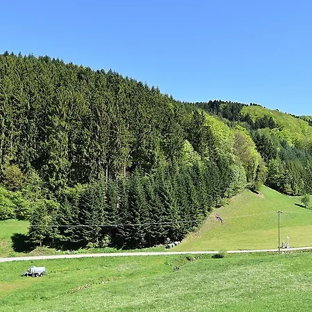 In Hofstetten Surrounded By Nature Hofstetten (Baden-Wurttemberg)